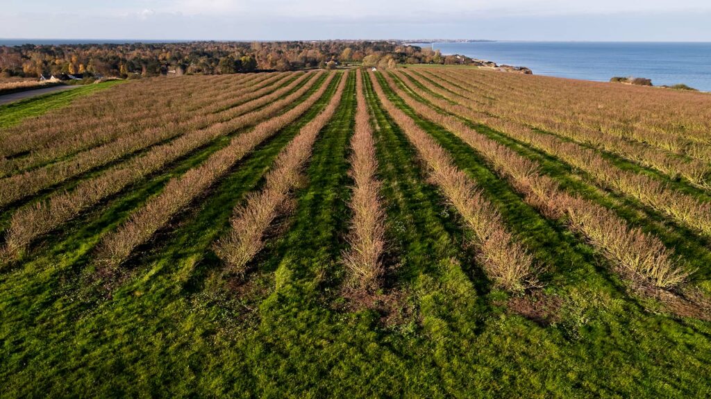 Dronefoto Sjællands Odde