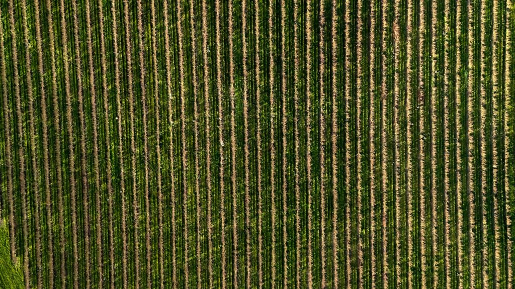 Dronefoto Sjællands Odde